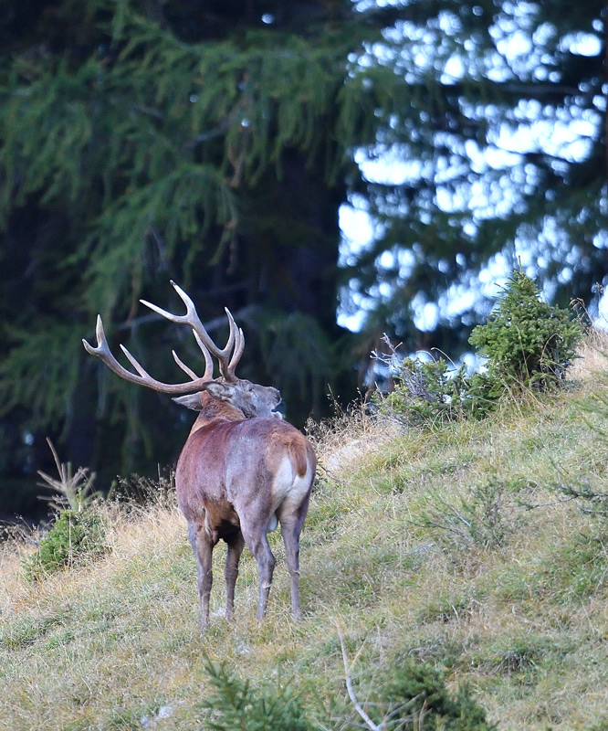 DS5_1848.jpg