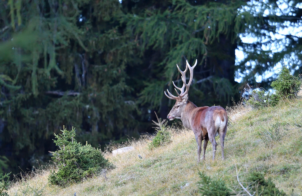 DS5_1851.jpg