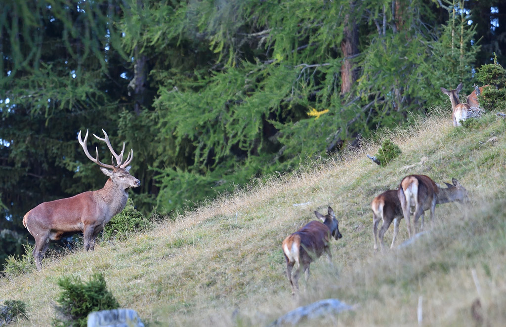 DS5_1860.jpg
