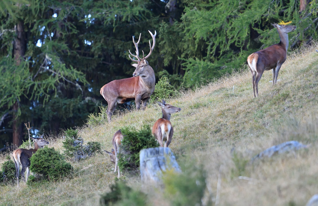 DS5_1863.jpg