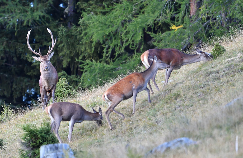DS5_1867.jpg