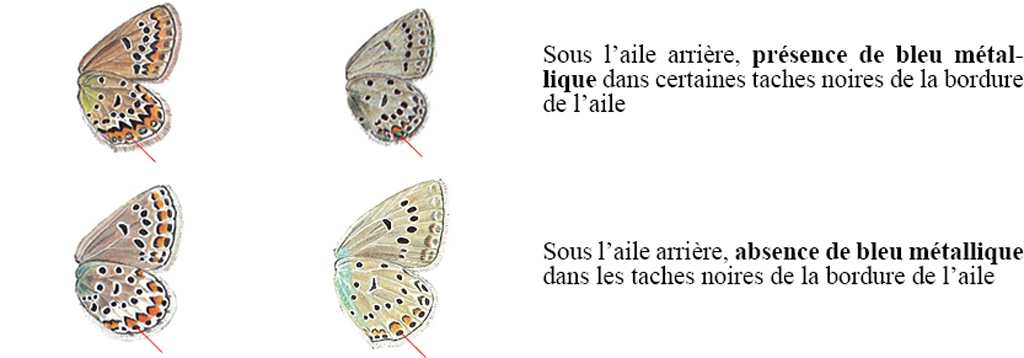 103.jpg