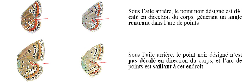 107.jpg
