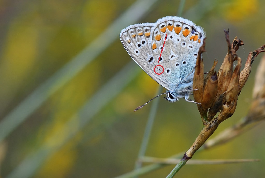 DS5_0887.jpg