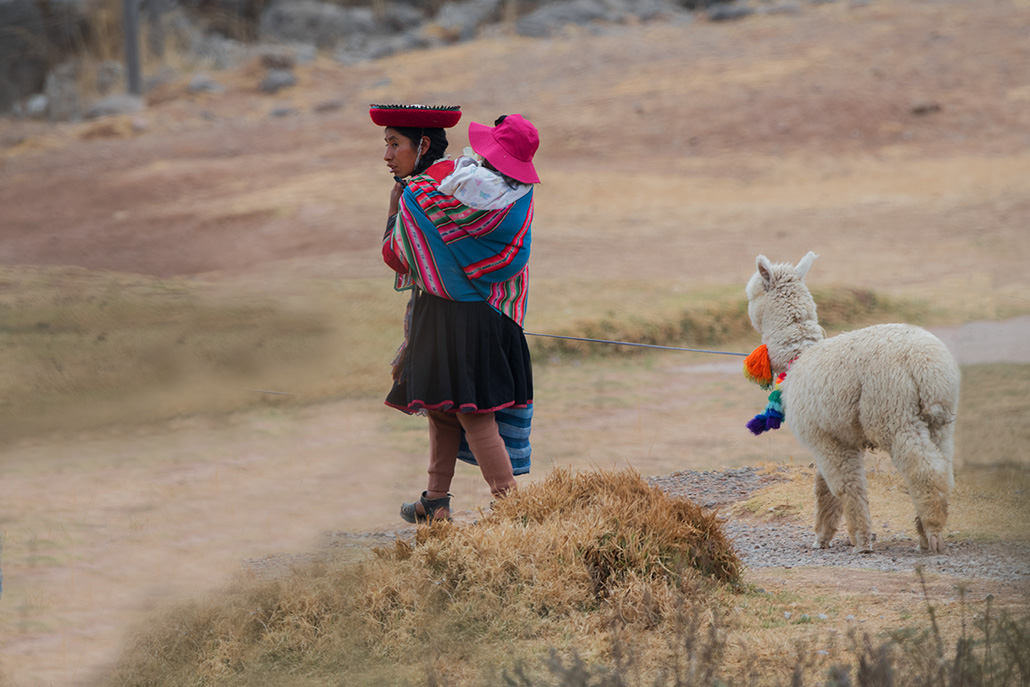 22-Allons au marché en  ''alpaga''.jpg