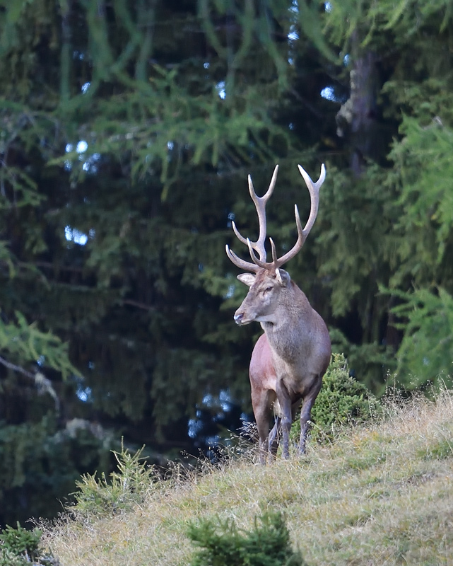 DS5_1877.jpg