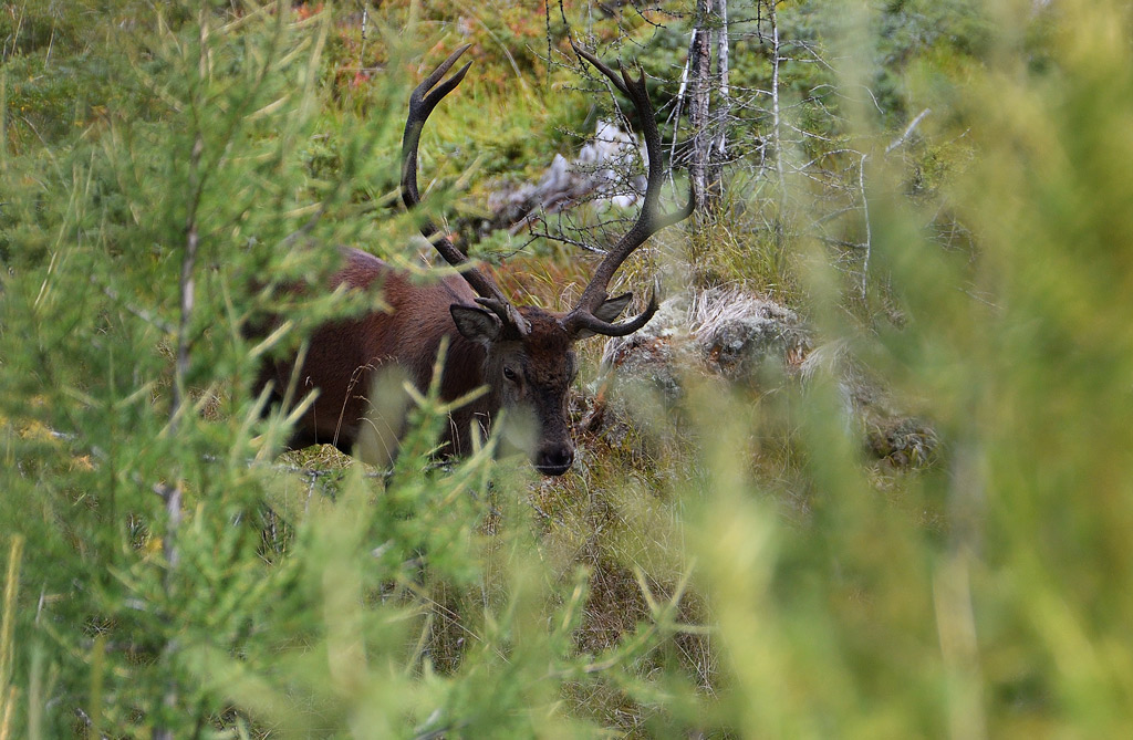 DSC_6397.jpg