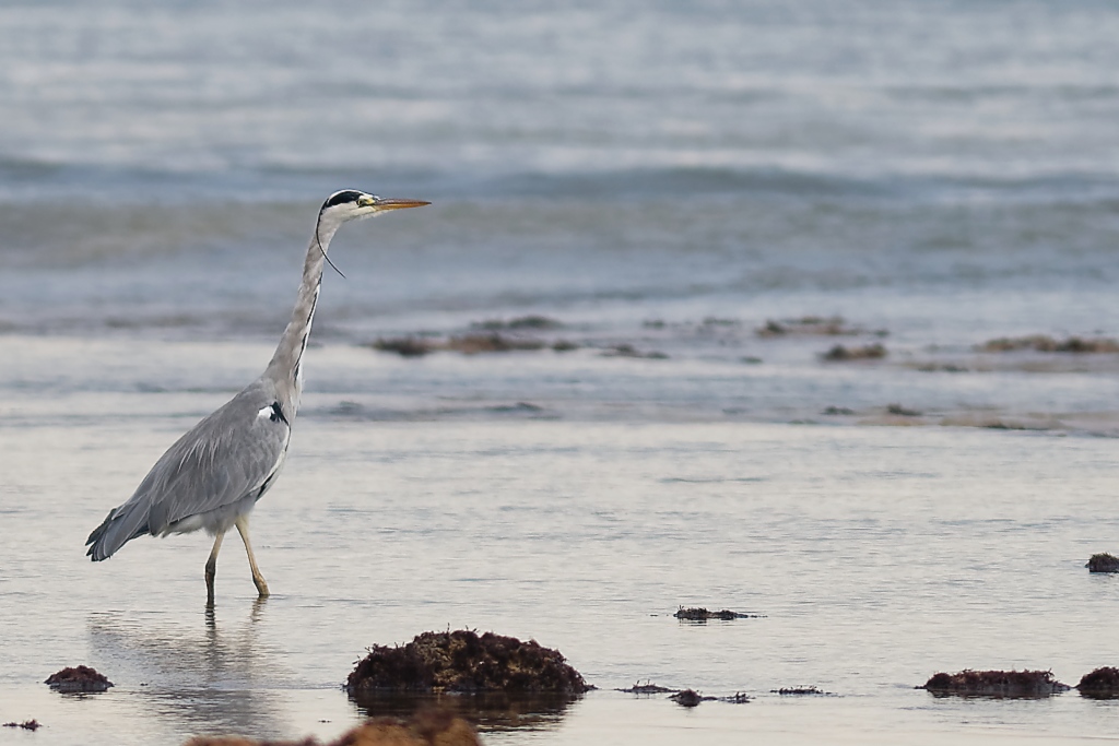 DSC_3861_DxO.jpg