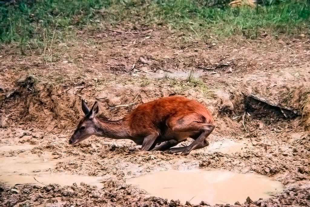 photo37.jpg