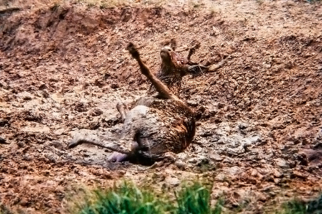 photo41.jpg