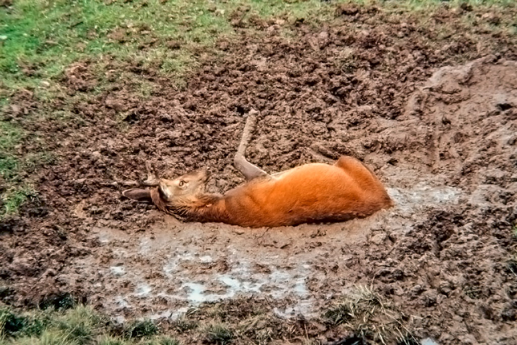 photo42.jpg