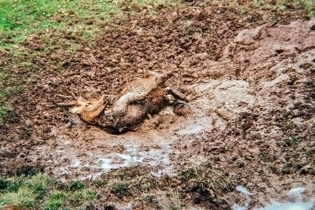 photo43.jpg
