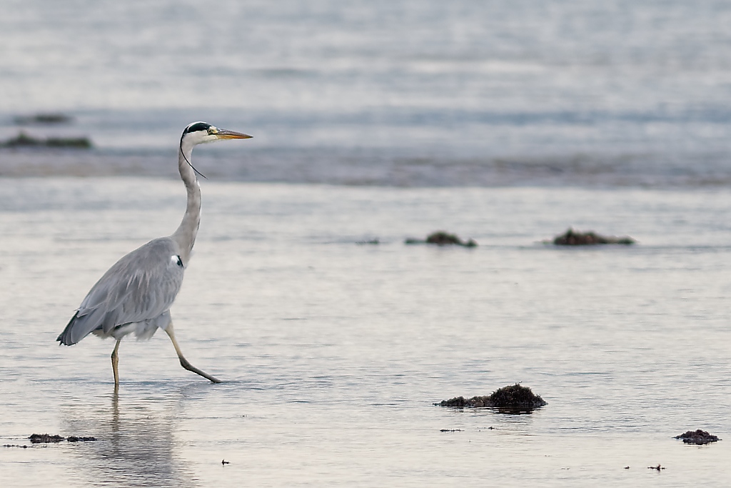 DSC_3859_DxO-1.jpg