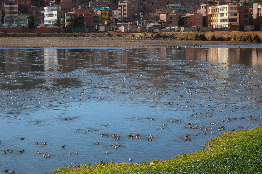 84-Port de Puno et ses inconnues....jpg