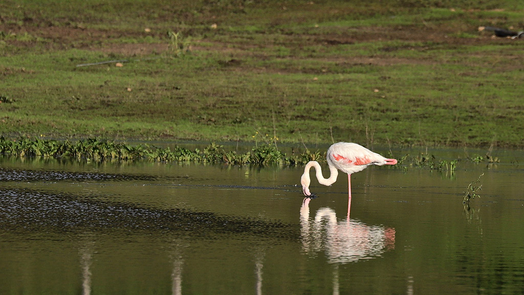 IMG_2775 copie.jpg