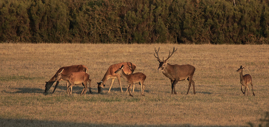 IMG_9583 copie.jpg