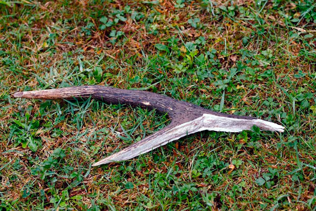 photo84.jpg