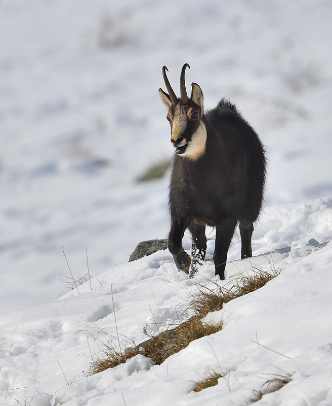 DS5_3715.jpg