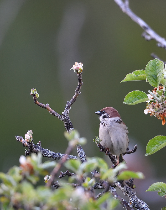 DS5_3095.jpg