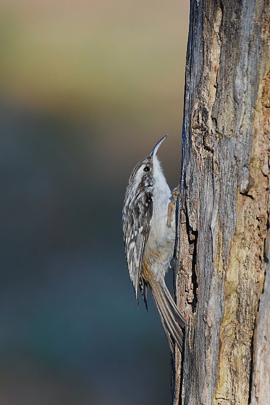 DSC_7636.jpg