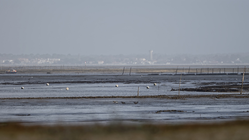 DSC_5711_DxO.jpg