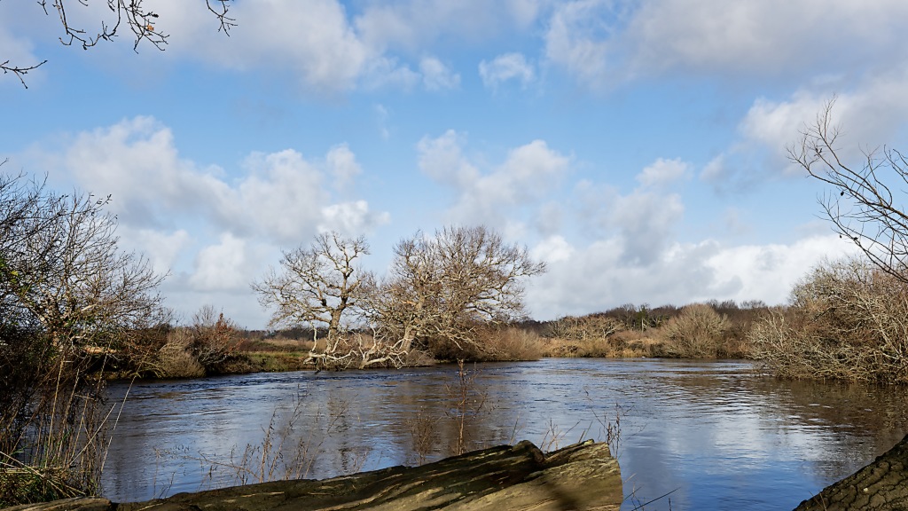 DSC_5727_DxO.jpg
