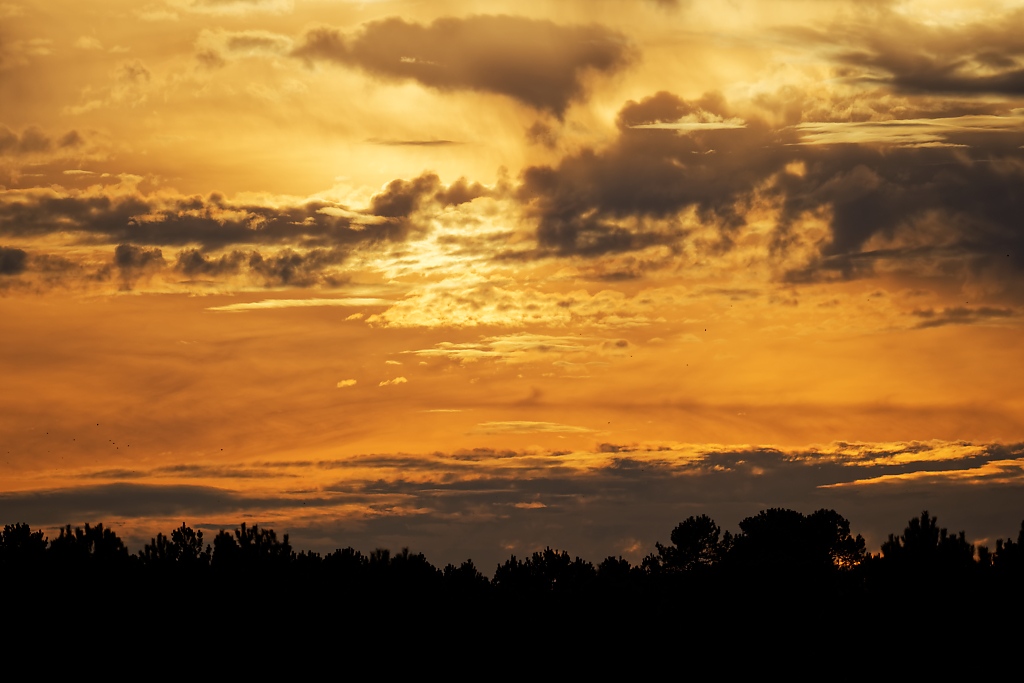 DSC_5147_DxO.jpg
