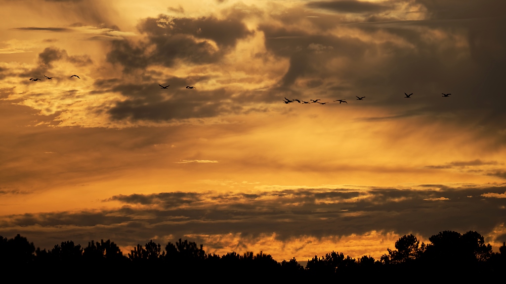 DSC_5168_DxO.jpg