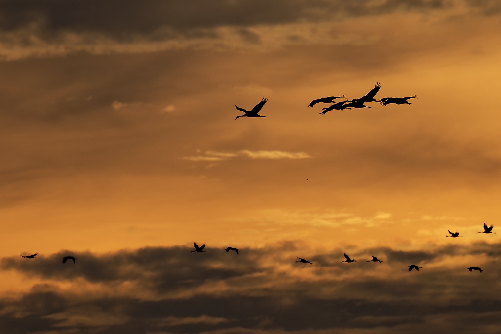 DSC_5172_DxO.jpg