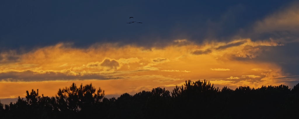 DSC_5194_DxO.jpg