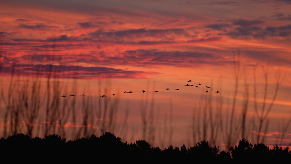 DSC_5235_DxO.jpg