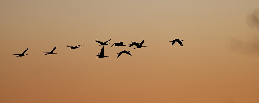 DSC_5363_DxO.jpg