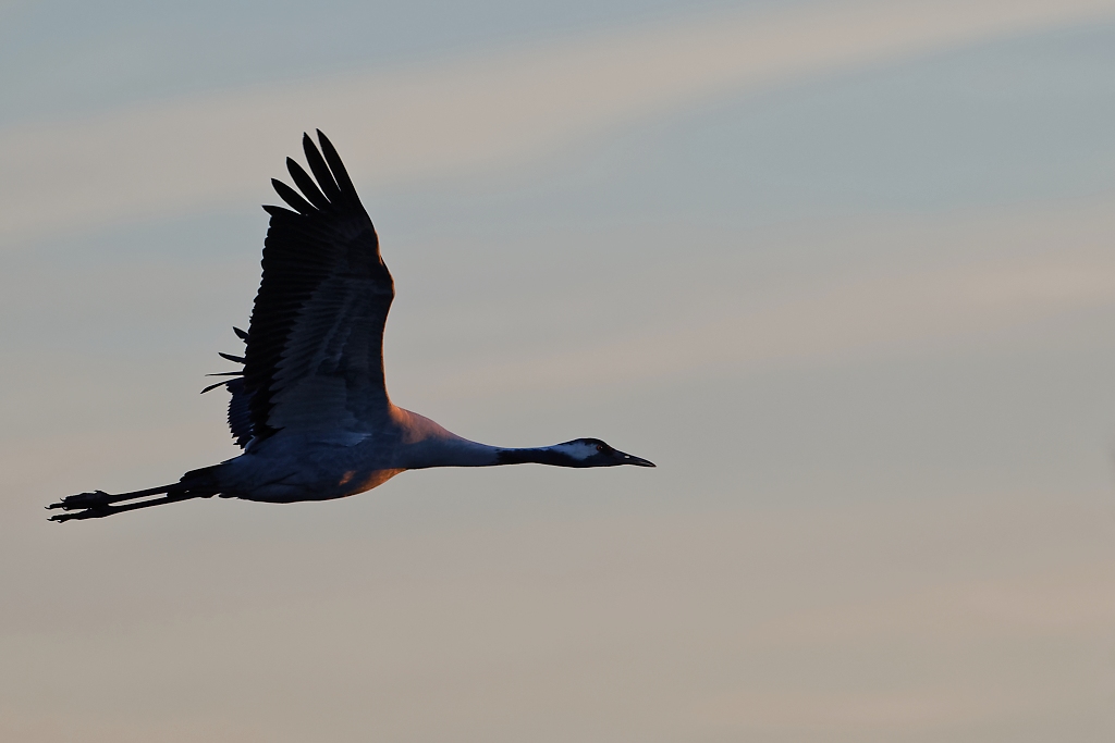 DSC_5544_DxO.jpg