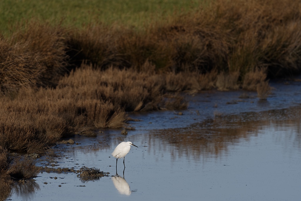 DSC_2765_DxO.jpg