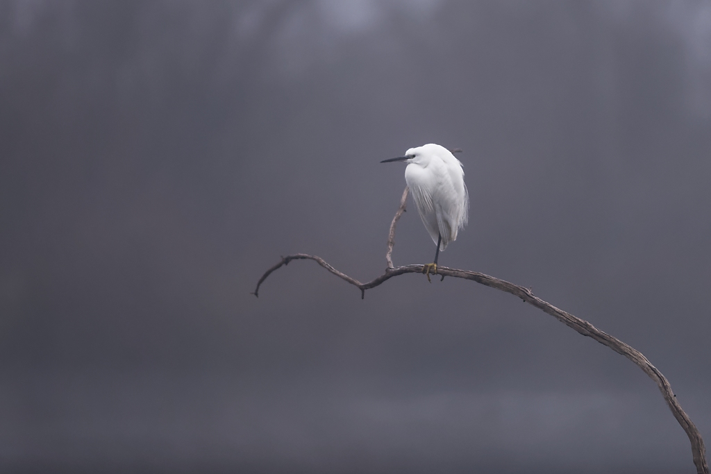DSC_5754_DxO.jpg