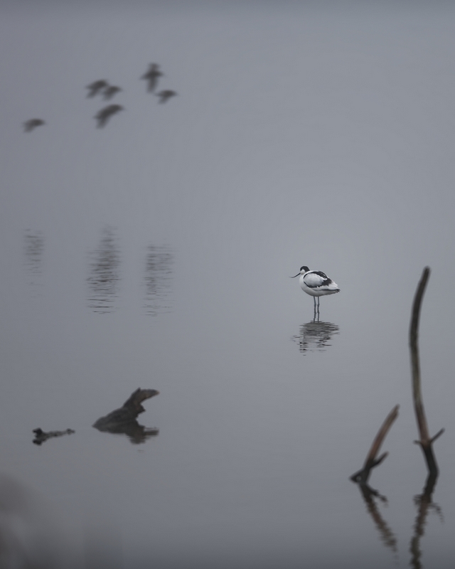 DSC_5769_DxO.jpg