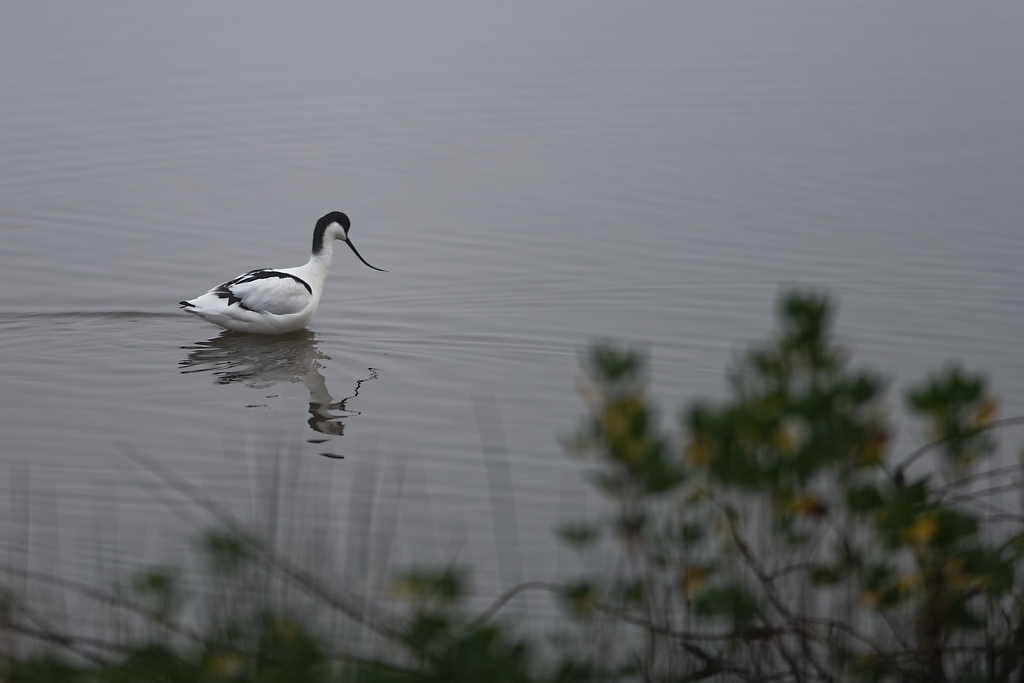 DSC_5777_DxO.jpg