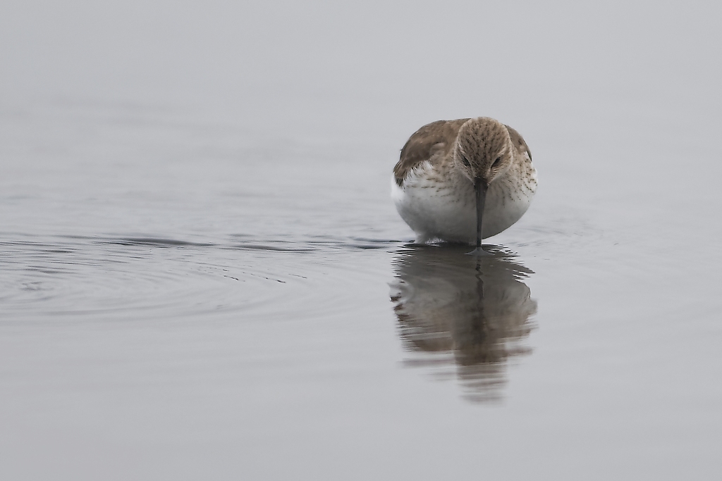 DSC_5820_DxO.jpg