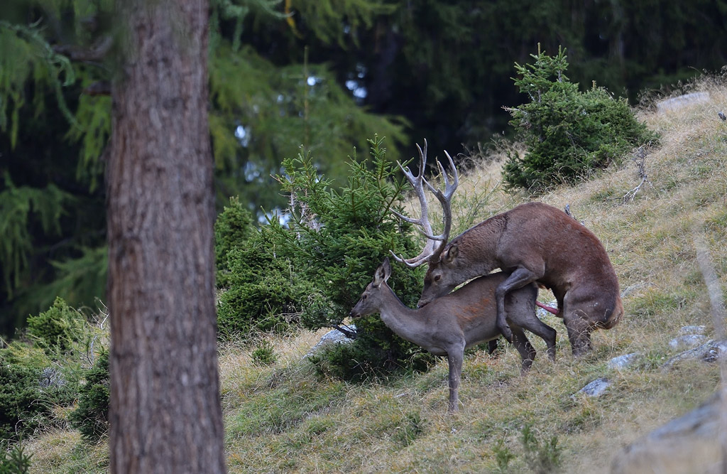 -DS5_2515.jpg