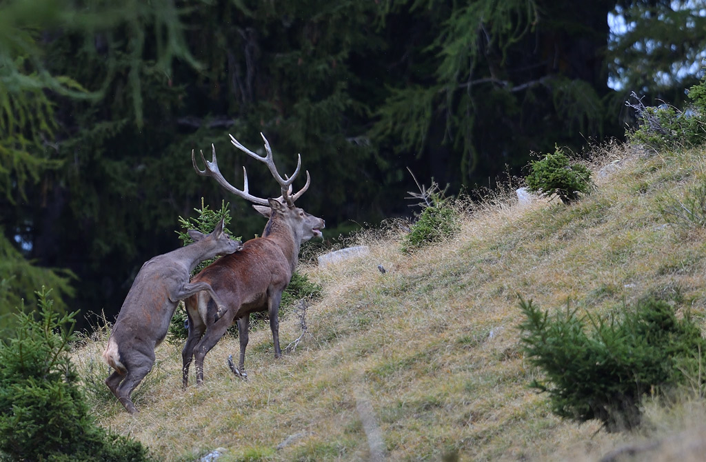 -DS5_2551.jpg