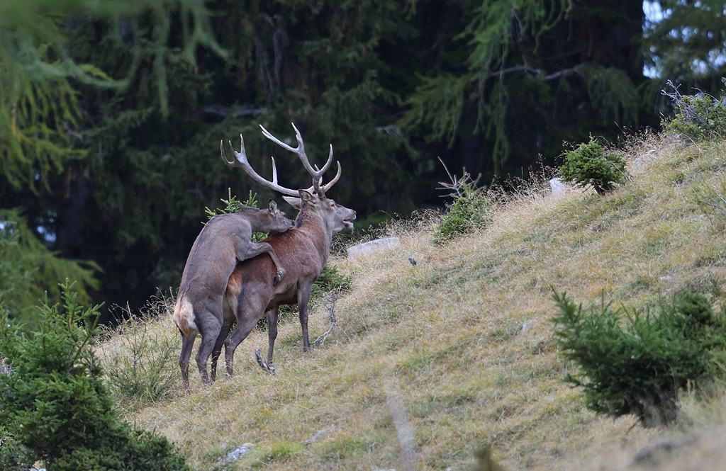 DS5_2561.jpg