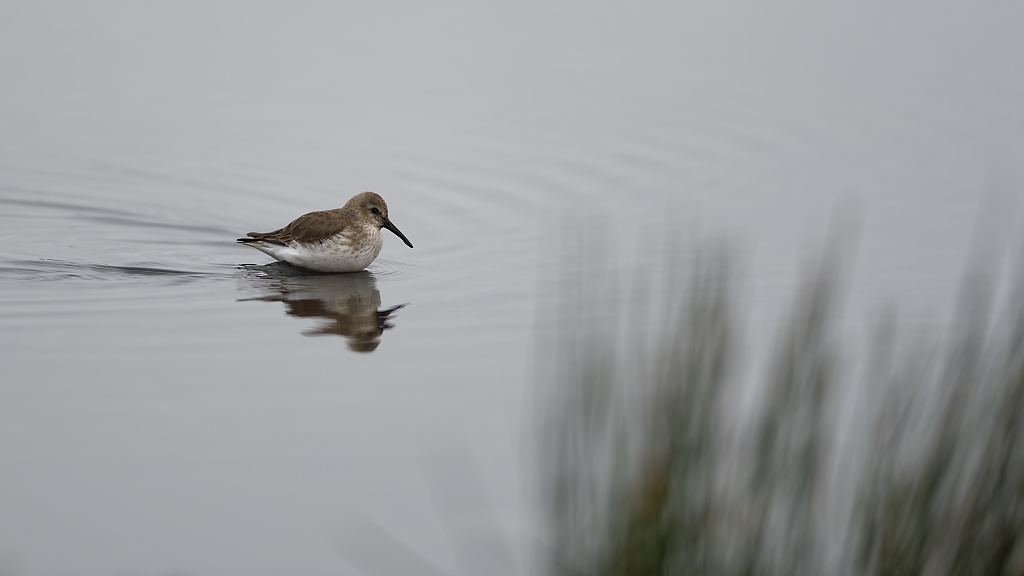 DSC_5825_DxO.jpg