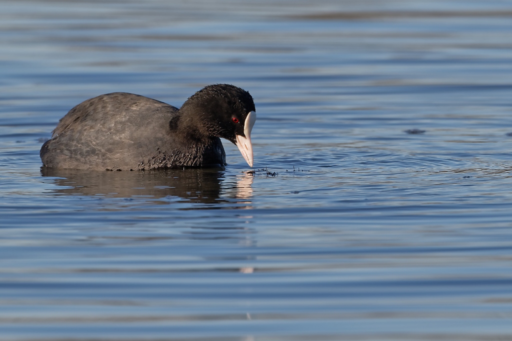 DSC_5986_DxO.jpg