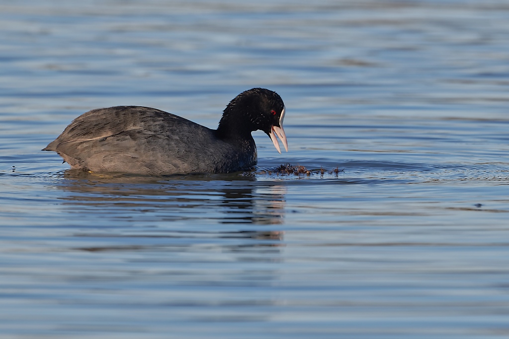 DSC_5987_DxO.jpg