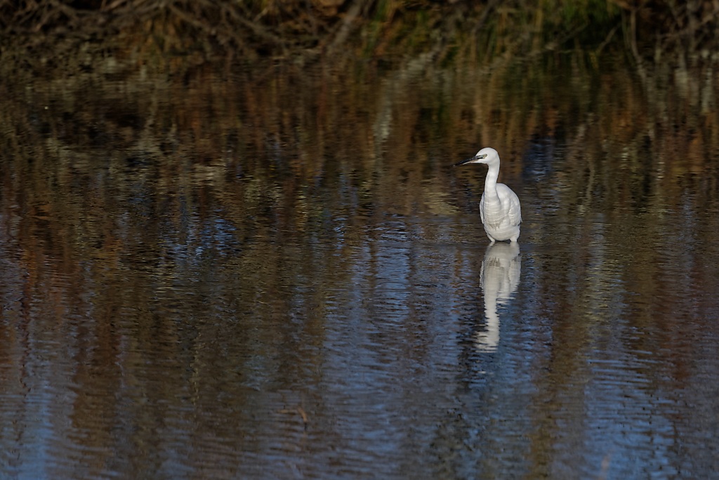 DSC_6040_DxO.jpg