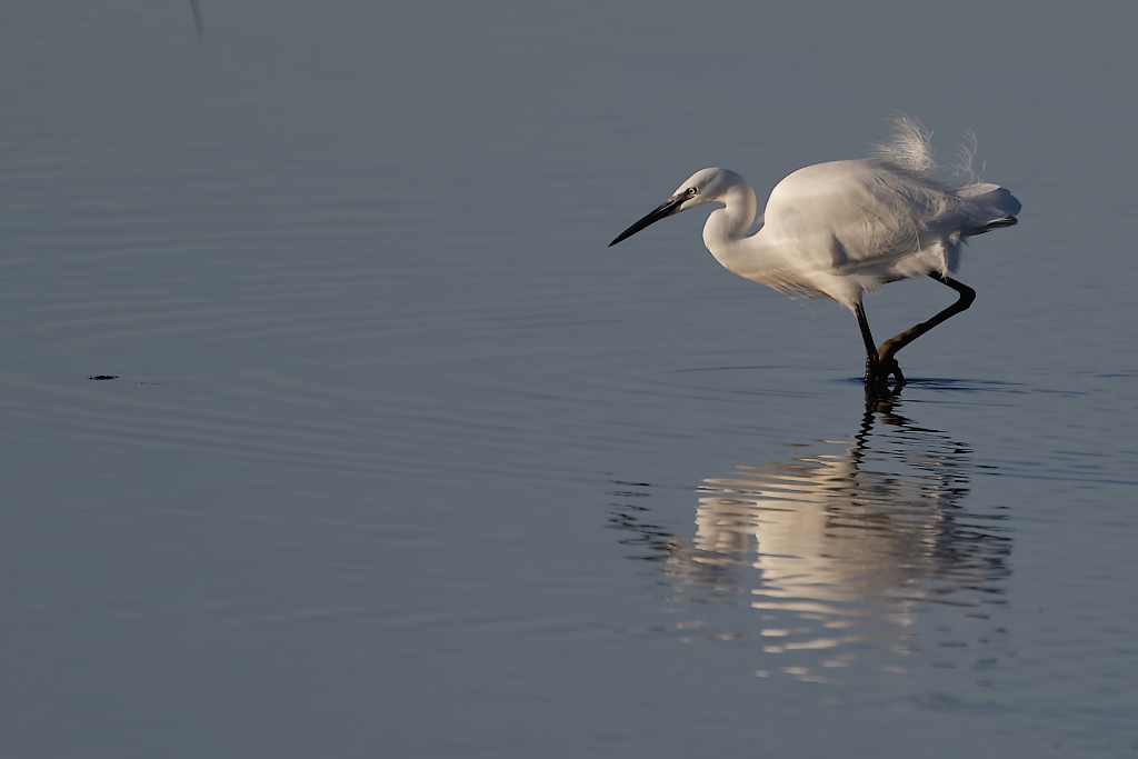 DSC_6047_DxO.jpg