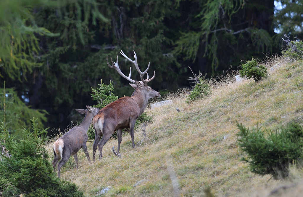 -DS5_2567.jpg