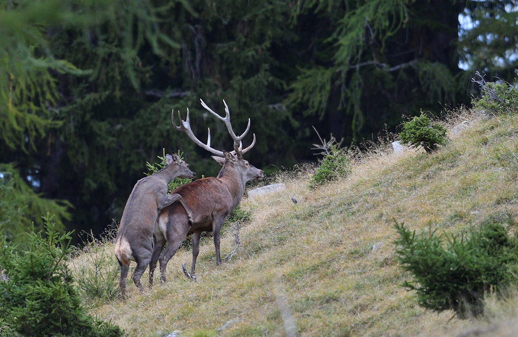 -DS5_2572.jpg