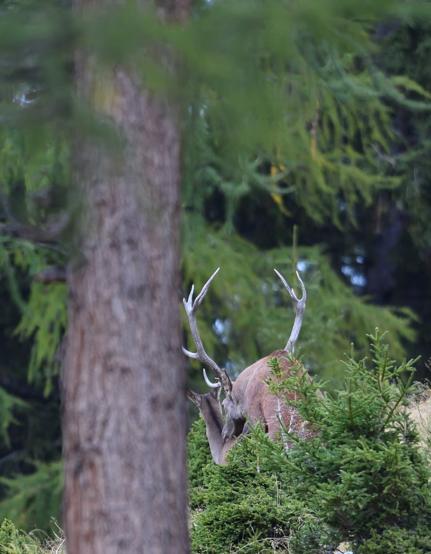 -DS5_2576.jpg