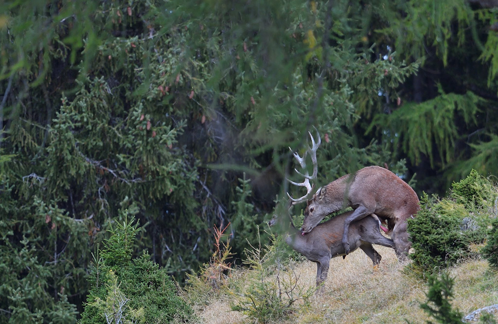 -DS5_2597.jpg